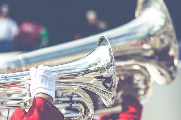 pexels-curioso-photography-343683